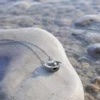 AOI Orbit Pearl silver necklace in a natural coastal jewelry editorial